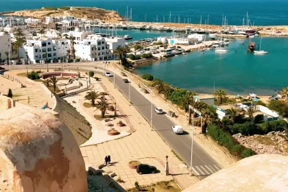 executive protection IN Tunisia