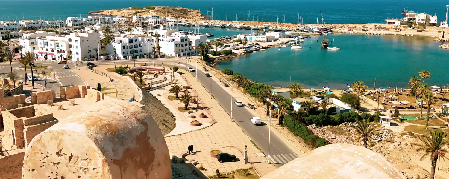 executive protection IN Tunisia